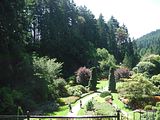 15 - Butchard Gardens  - IMGA0255